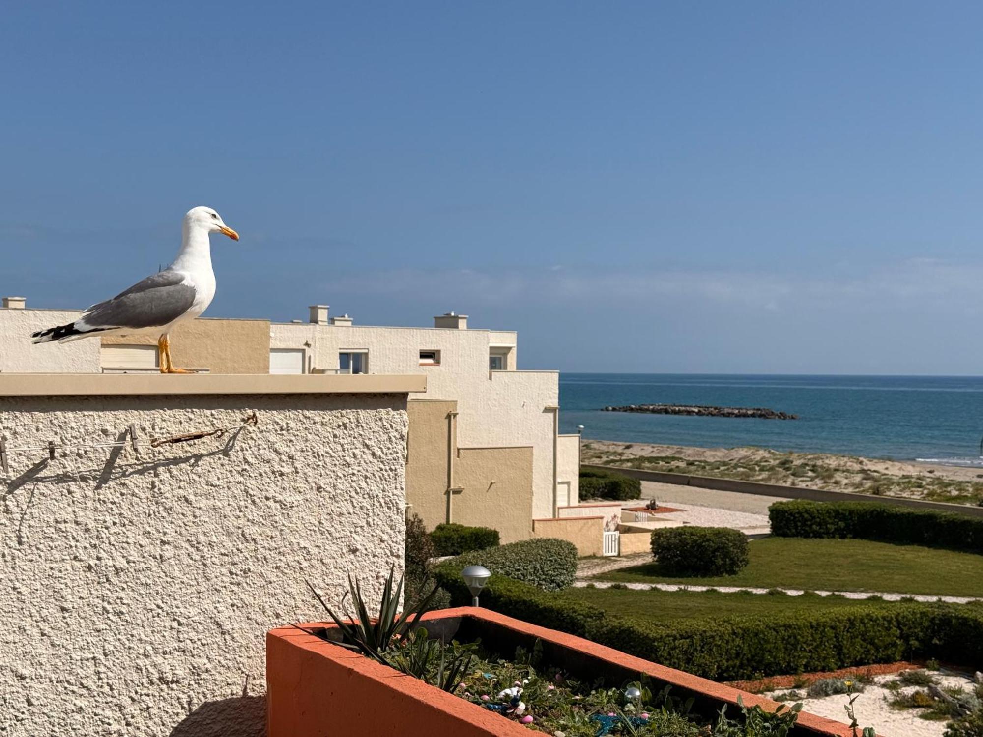 Le Paradis Bleu- Front De Mer - Travaux Recents Le Barcares Bagian luar foto